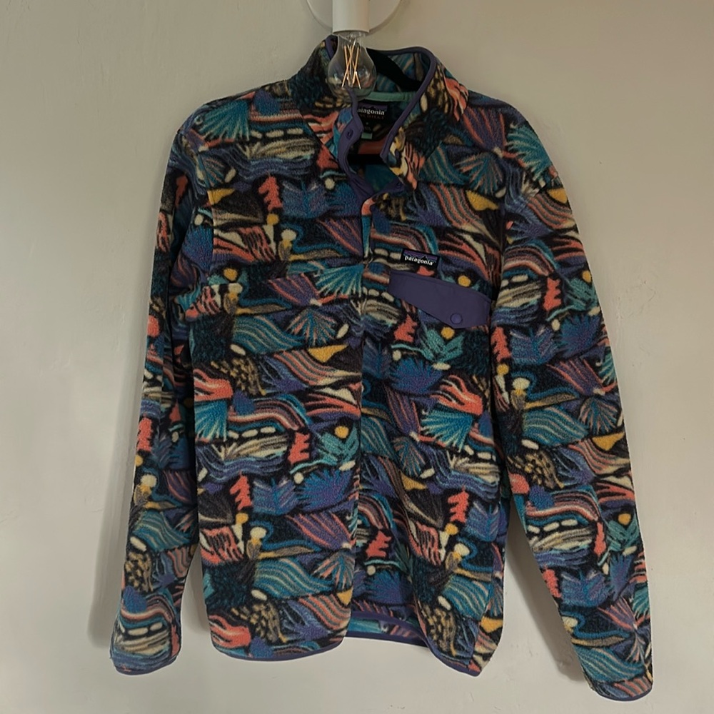 Patagonia Synchilla fleece size M